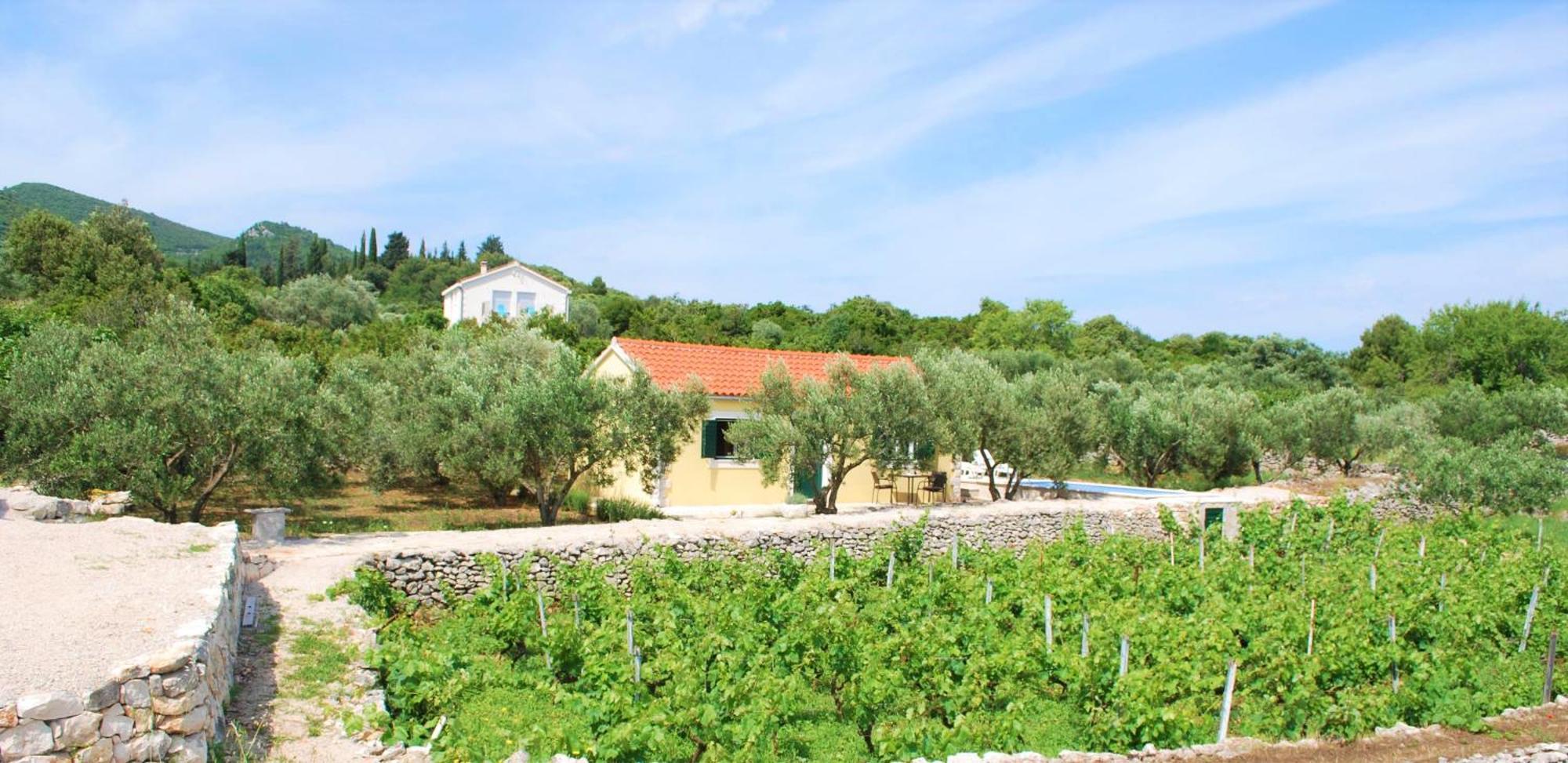 Villa Vineyard House & Olive Grove House Račišće Esterno foto