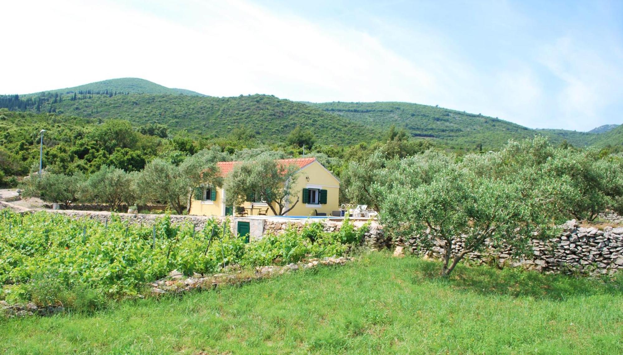 Villa Vineyard House & Olive Grove House Račišće Esterno foto
