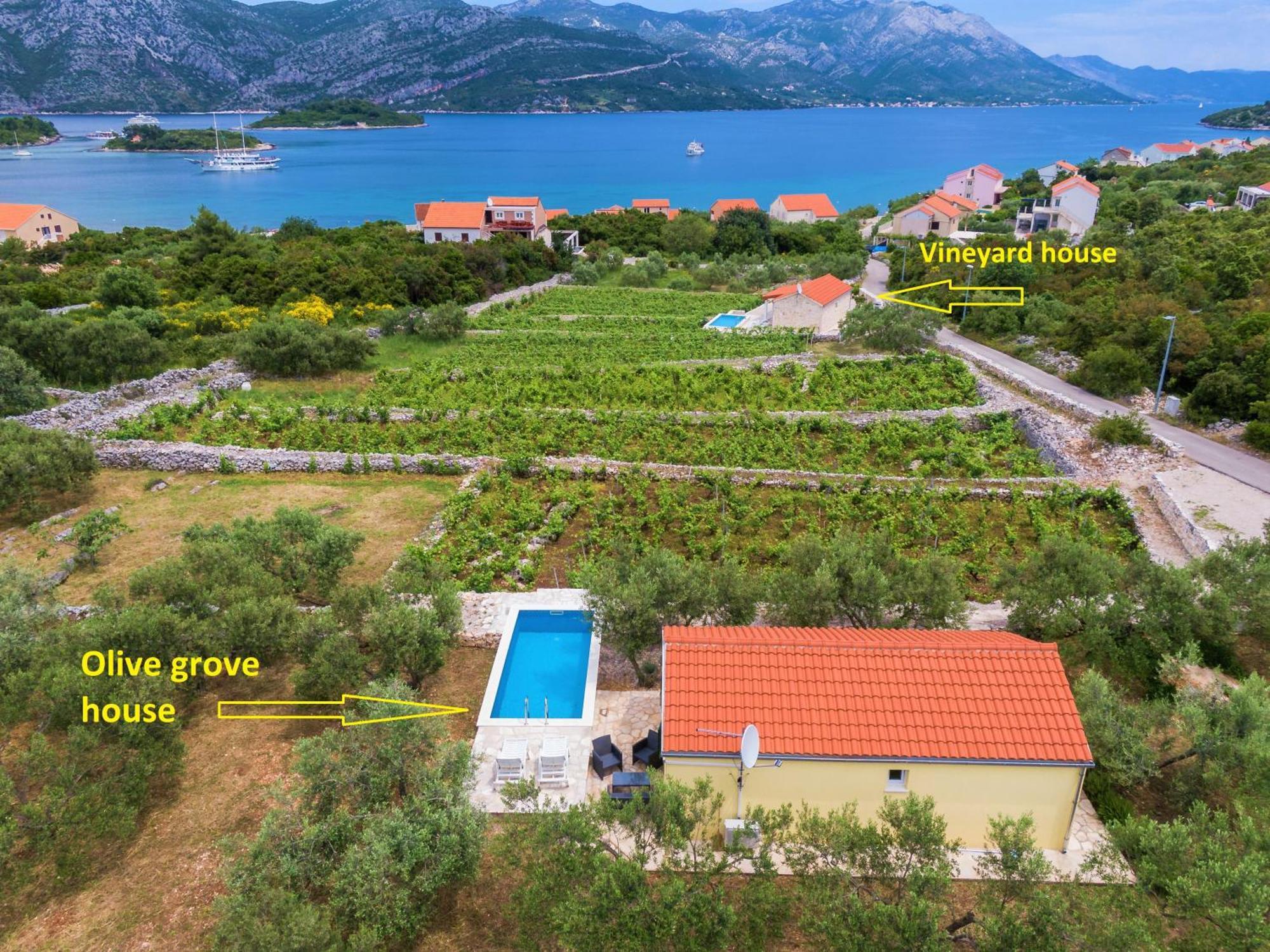 Villa Vineyard House & Olive Grove House Račišće Esterno foto