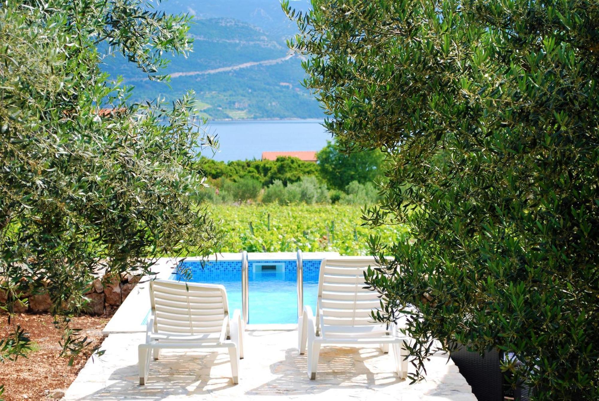Villa Vineyard House & Olive Grove House Račišće Esterno foto