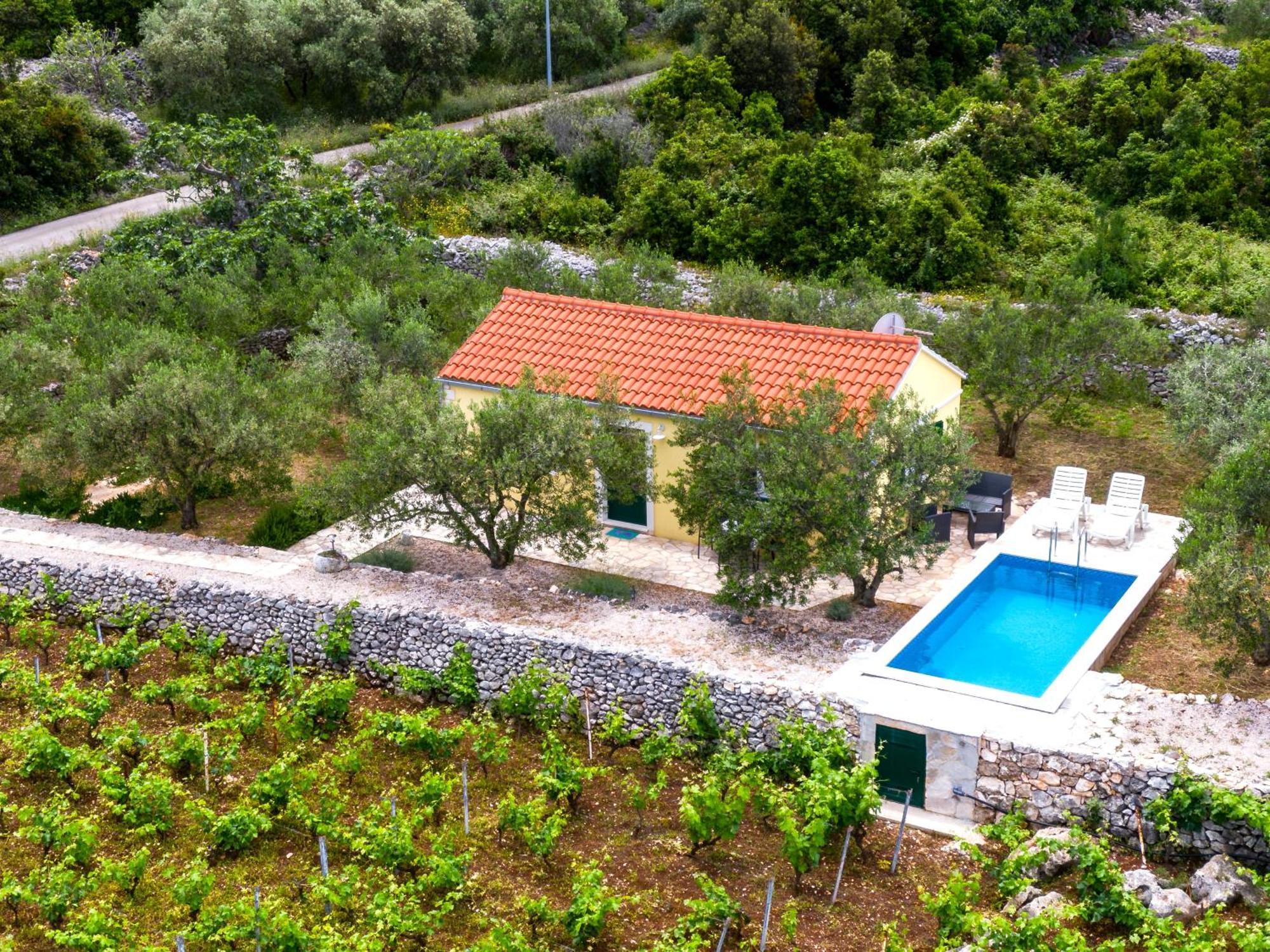 Villa Vineyard House & Olive Grove House Račišće Esterno foto
