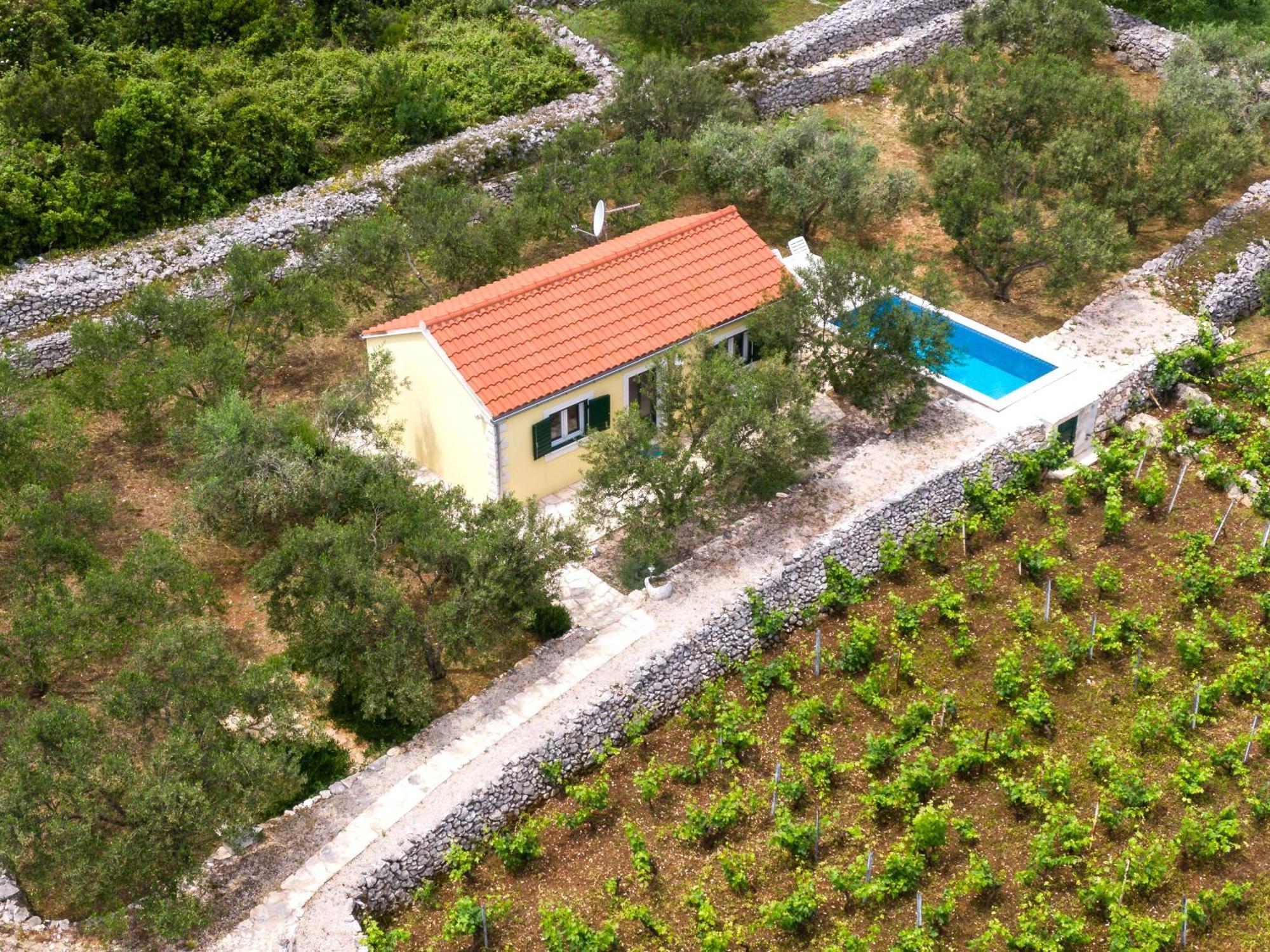 Villa Vineyard House & Olive Grove House Račišće Esterno foto