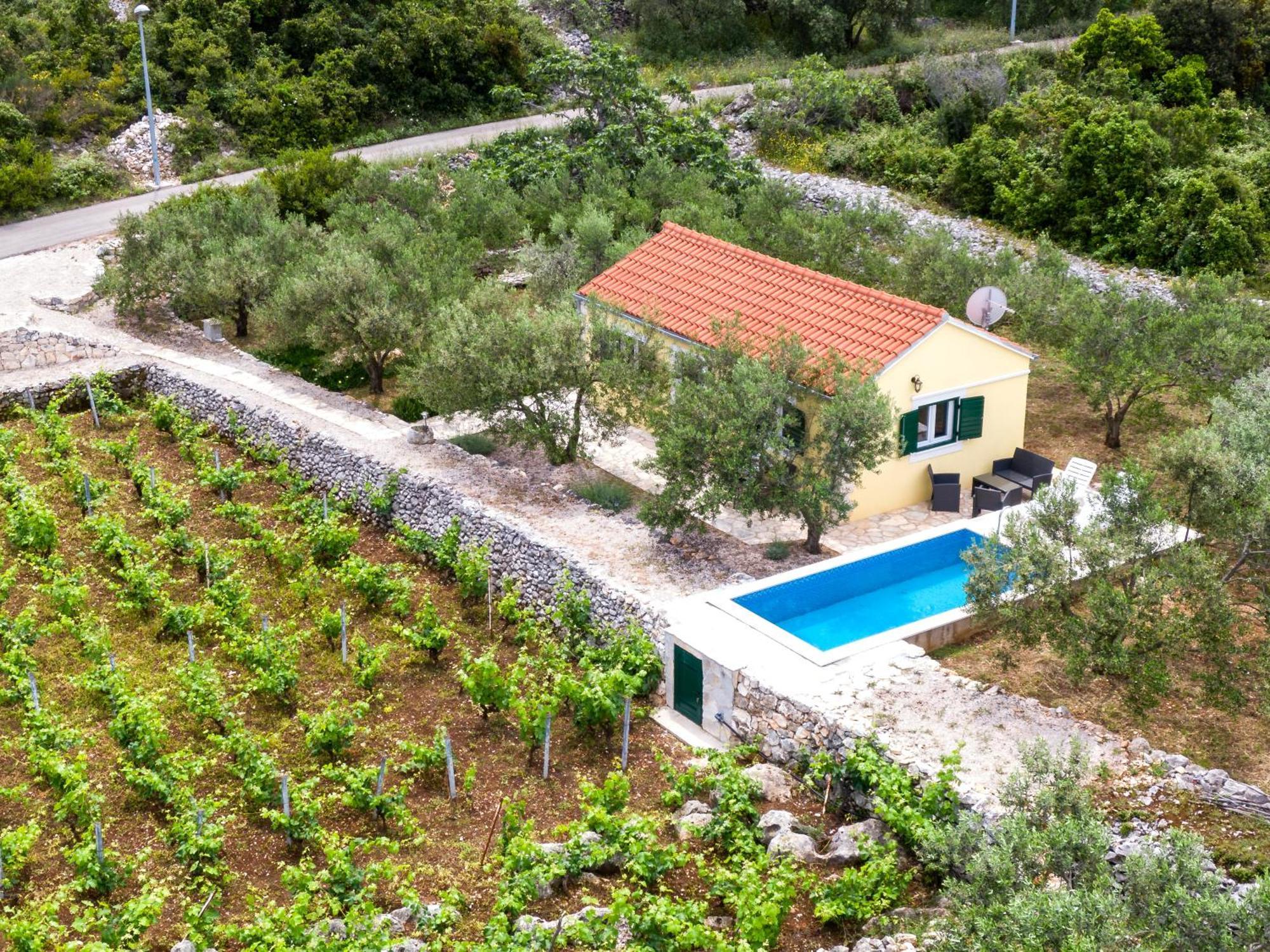 Villa Vineyard House & Olive Grove House Račišće Esterno foto