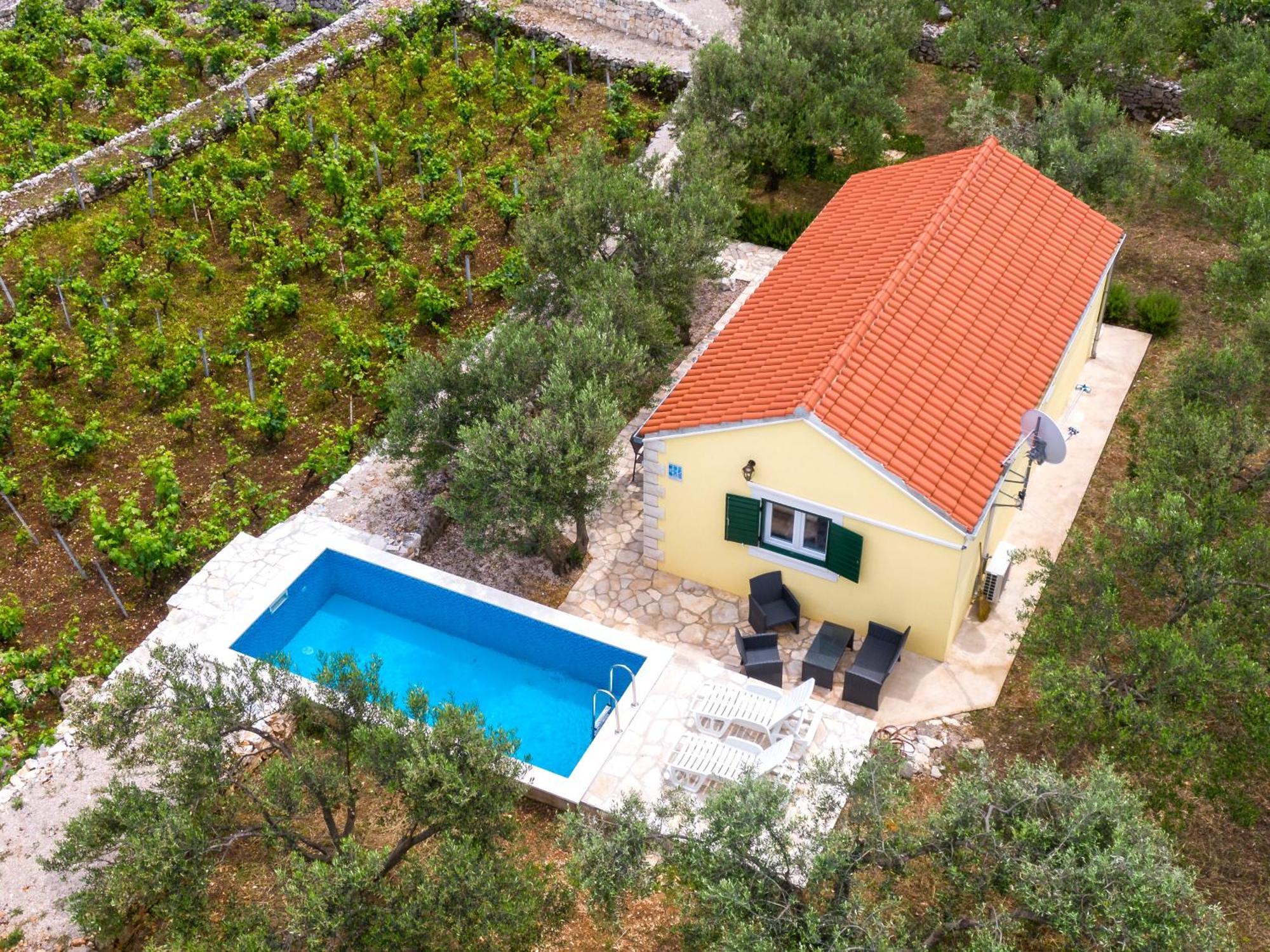 Villa Vineyard House & Olive Grove House Račišće Esterno foto