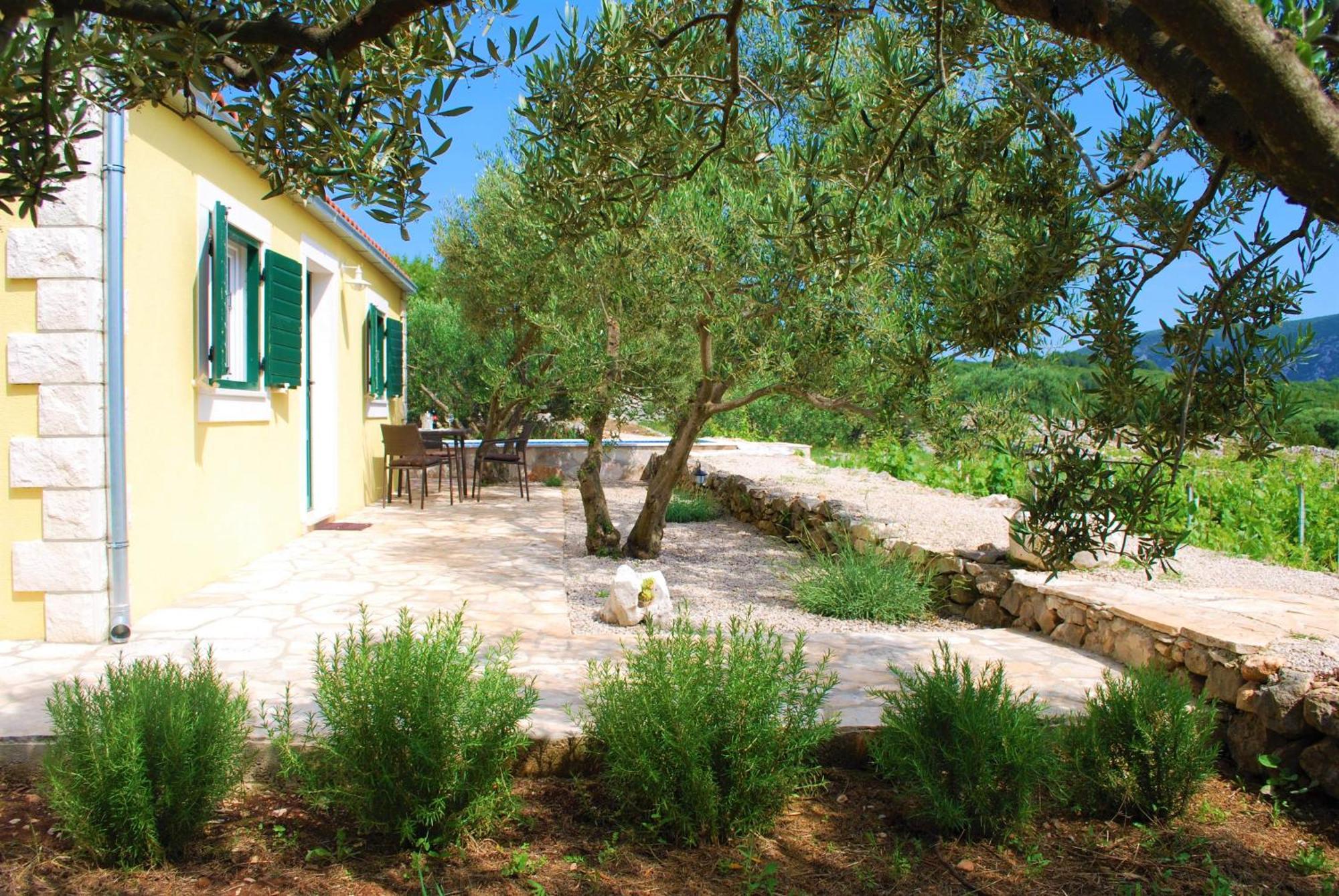 Villa Vineyard House & Olive Grove House Račišće Esterno foto