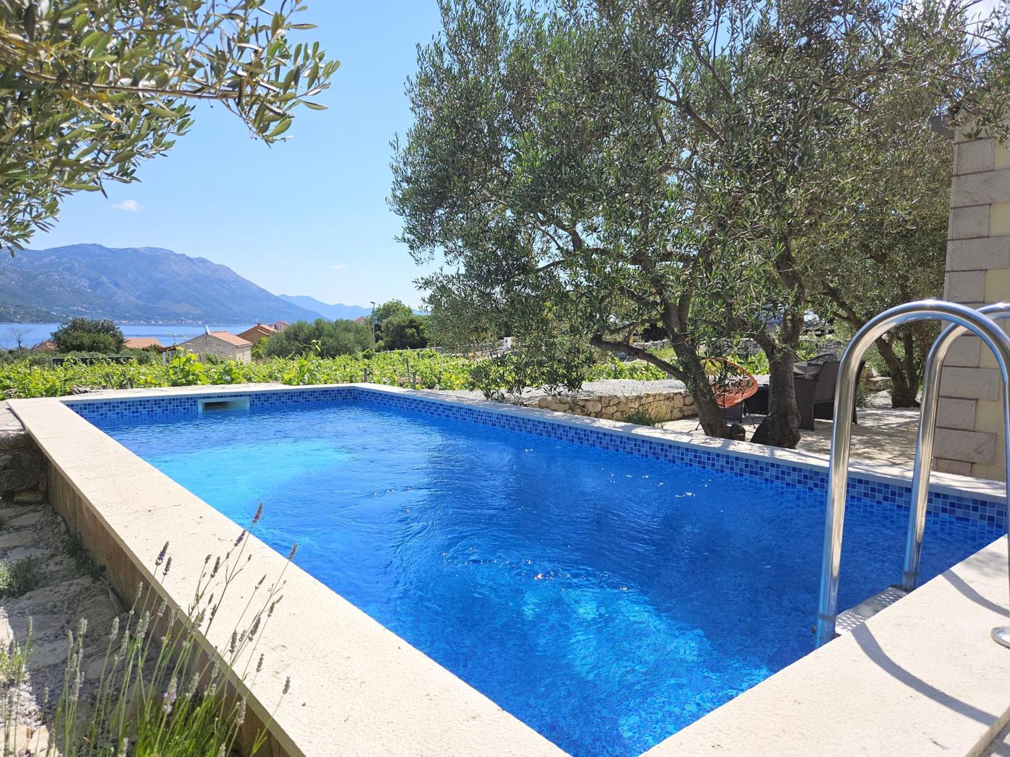 Villa Vineyard House & Olive Grove House Račišće Esterno foto