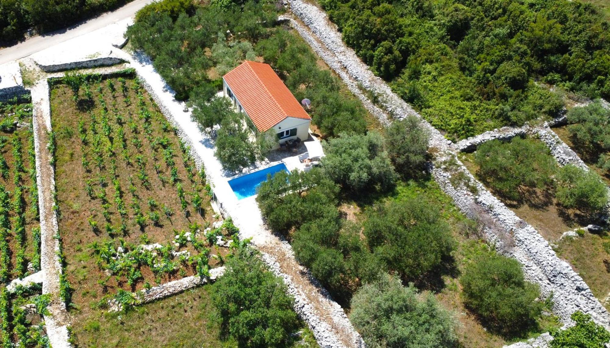 Villa Vineyard House & Olive Grove House Račišće Esterno foto