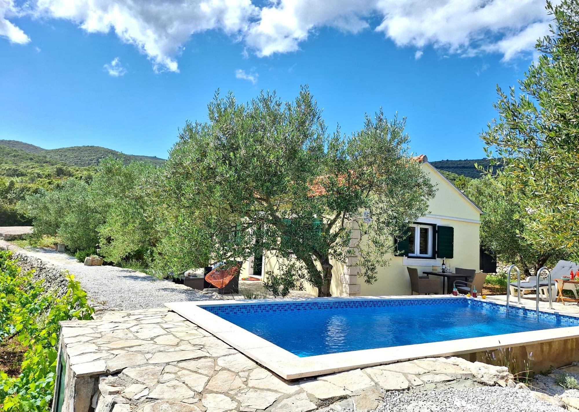 Villa Vineyard House & Olive Grove House Račišće Esterno foto