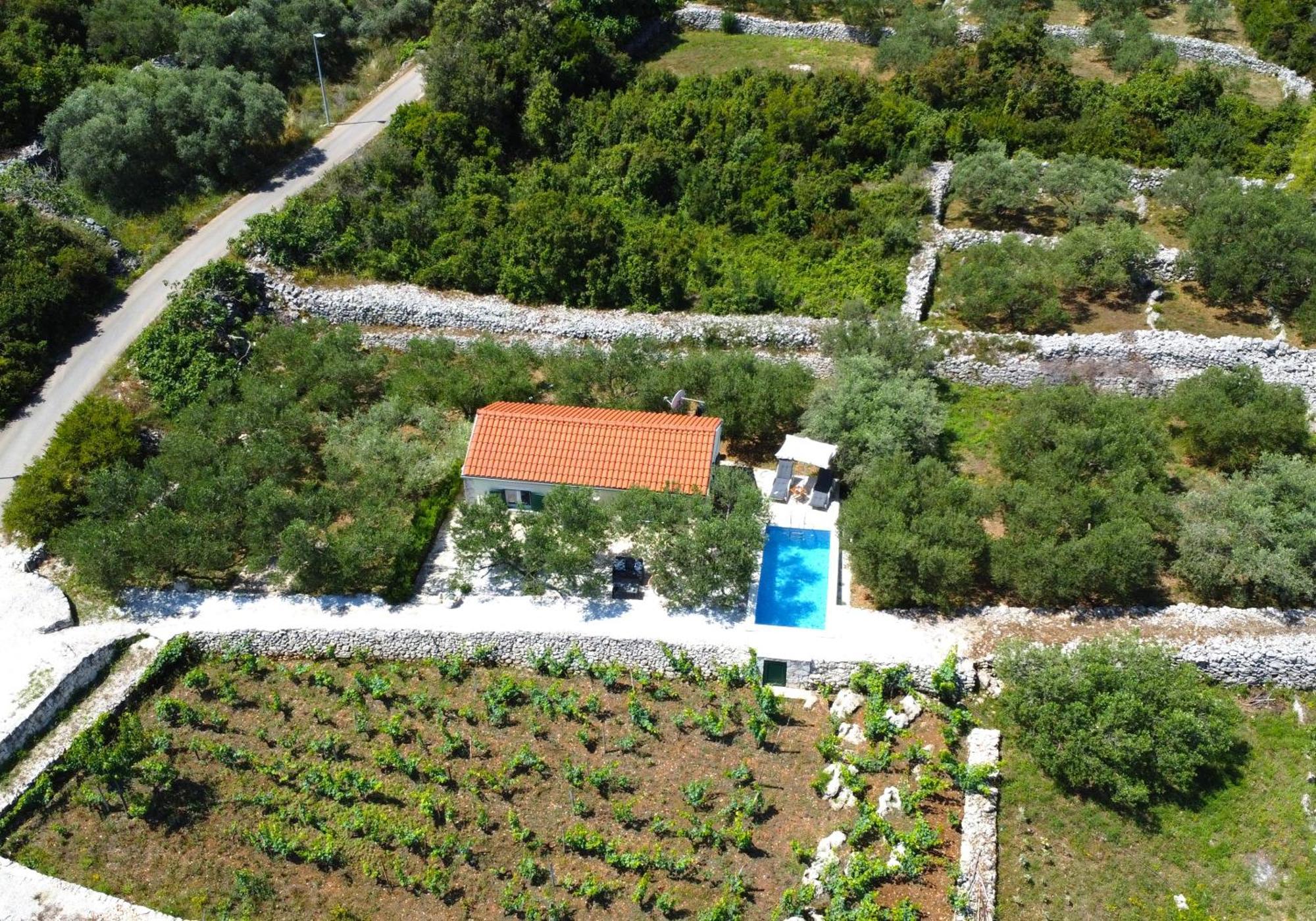 Villa Vineyard House & Olive Grove House Račišće Esterno foto