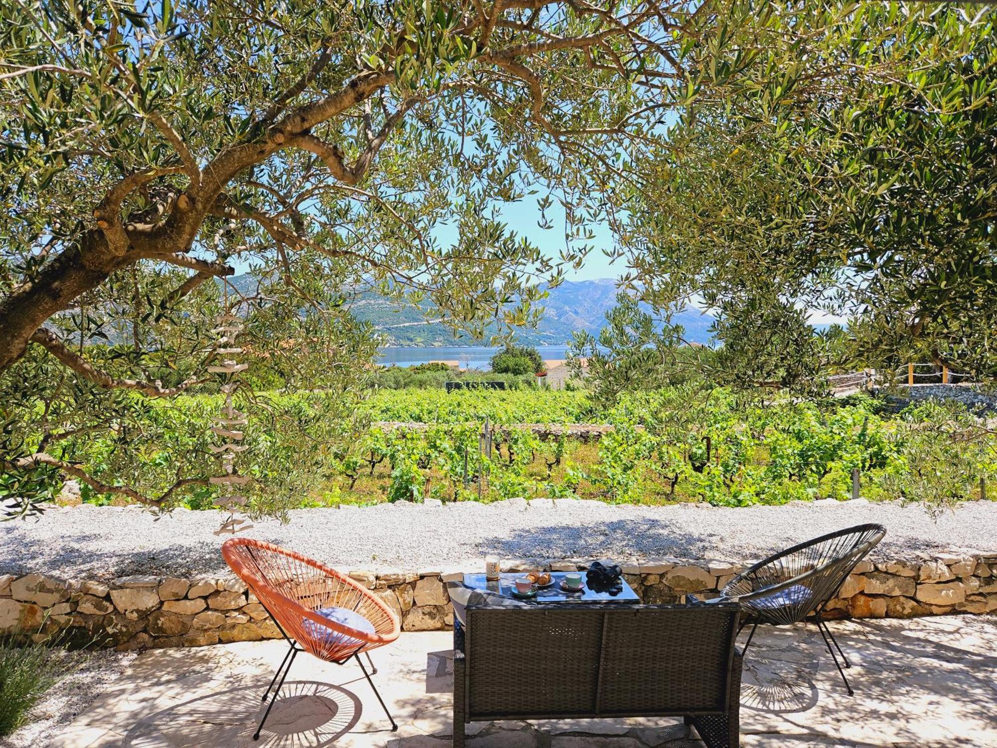 Villa Vineyard House & Olive Grove House Račišće Esterno foto
