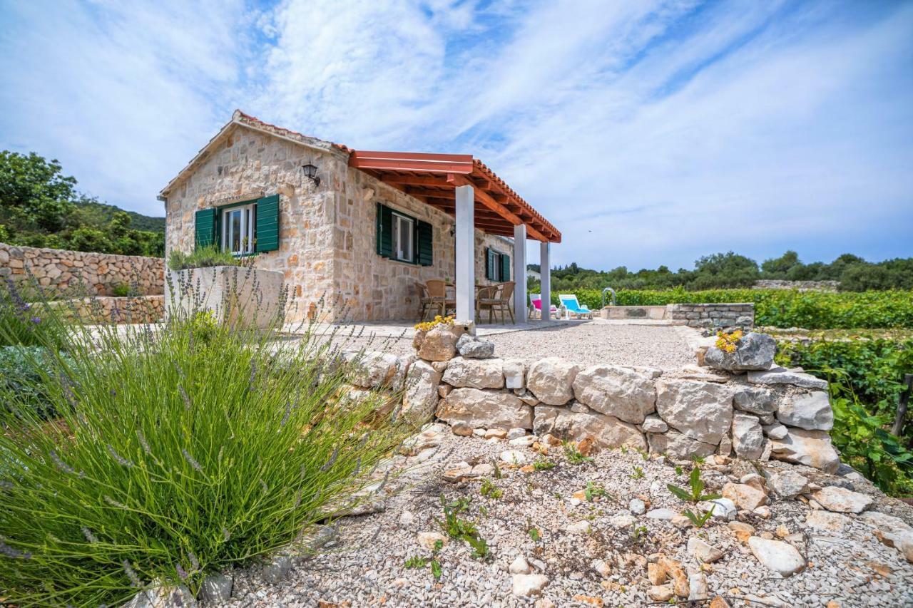 Villa Vineyard House & Olive Grove House Račišće Esterno foto
