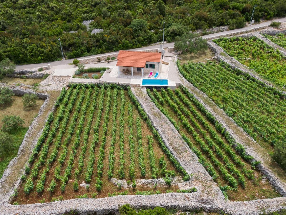 Villa Vineyard House & Olive Grove House Račišće Esterno foto