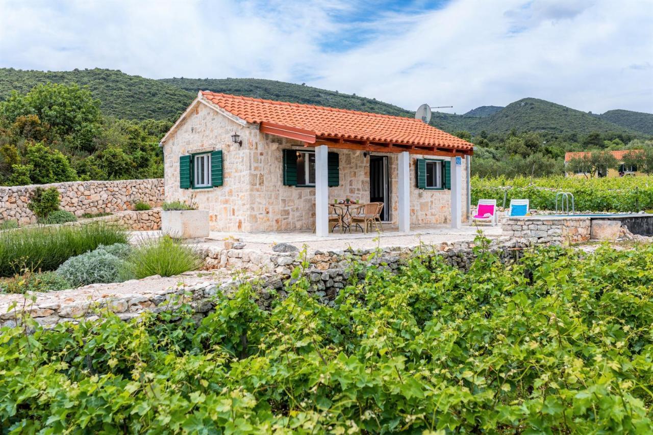 Villa Vineyard House & Olive Grove House Račišće Esterno foto