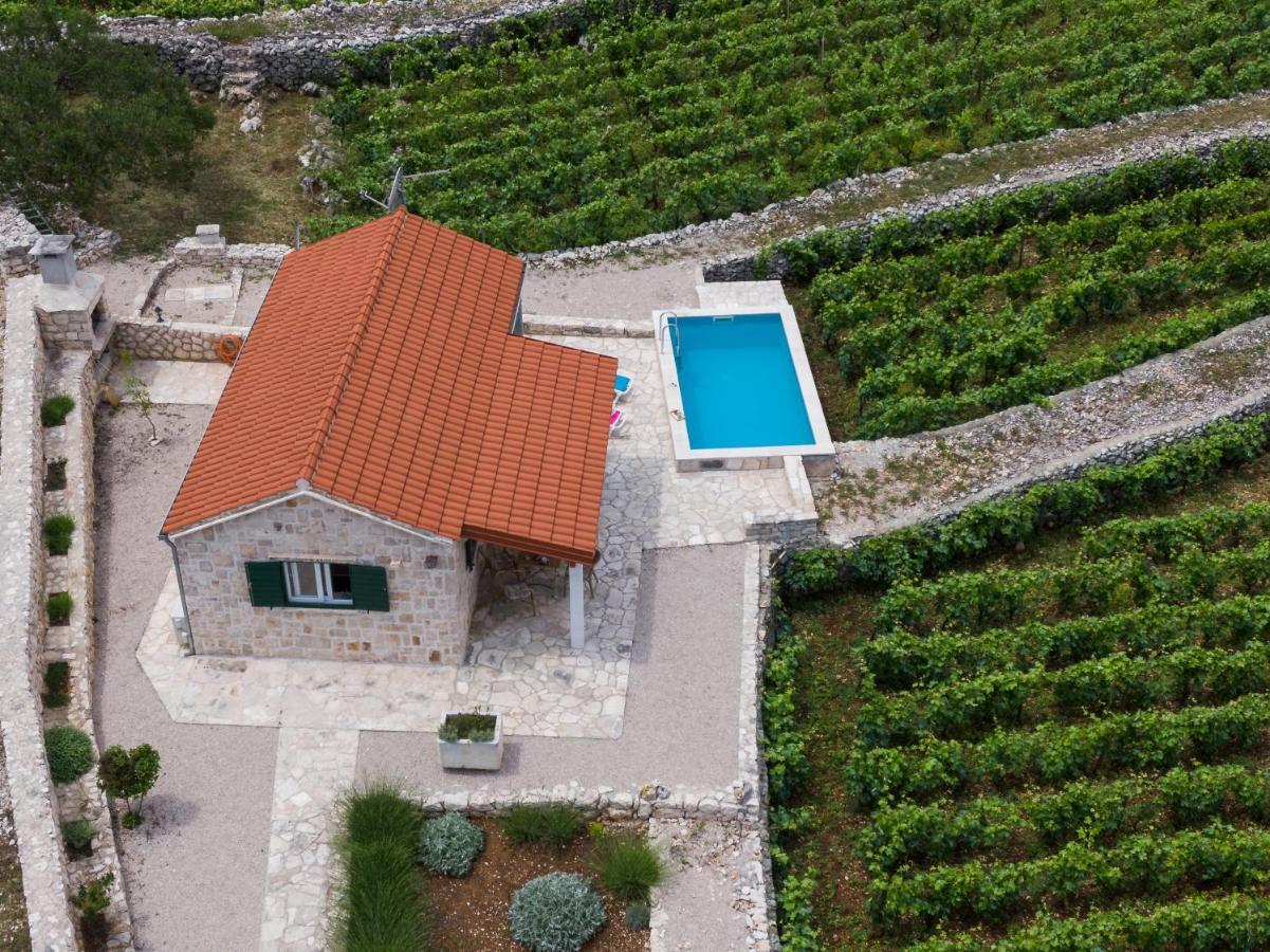 Villa Vineyard House & Olive Grove House Račišće Esterno foto