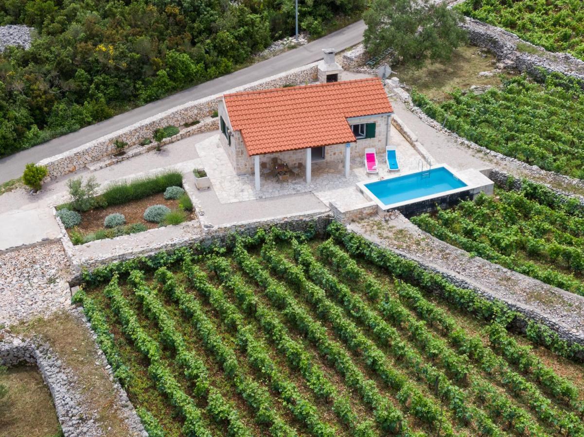 Villa Vineyard House & Olive Grove House Račišće Esterno foto