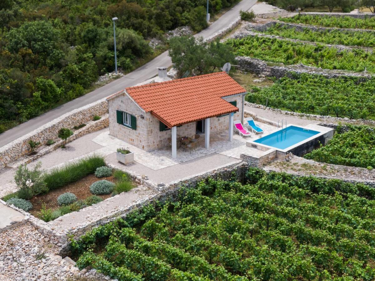 Villa Vineyard House & Olive Grove House Račišće Esterno foto